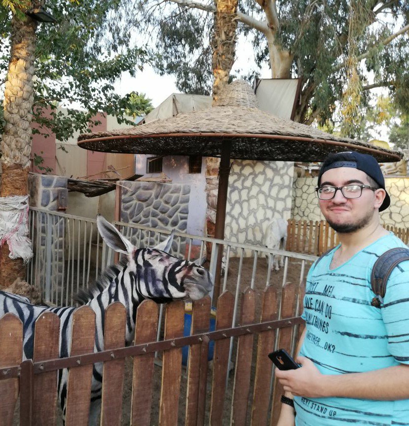 Egypt zoo accused of painting donkey to look like a zebra