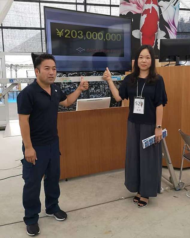 World Record! Most expensive Koi Fish | $1.700.000,- USD 