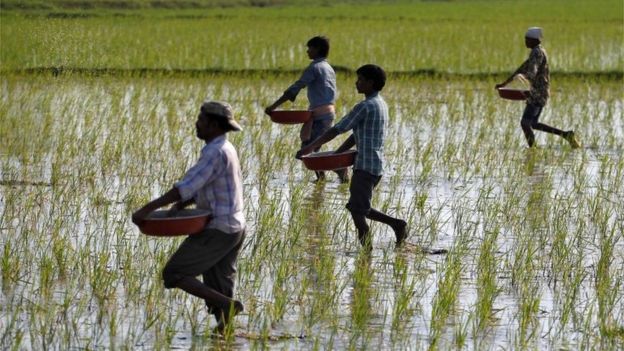Amitabh Bachchan pays off farmers' loans worth $500,000